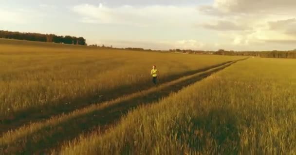 Sportif çocuk yeşil buğday tarlasında koşuyor. Kırsal çayırlarda akşam sporu alıştırmaları. Mutlu bir çocukluk sağlıklı bir yaşam biçimidir. Radikal hareket, güneş ışınları ve ot. — Stok video