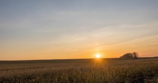 Meadow timelapse at the autumn sunrise time. Wild nature and rural grass field. Sun rays and yellow grass. Motorised dolly slider and panorama movement — Stock Video