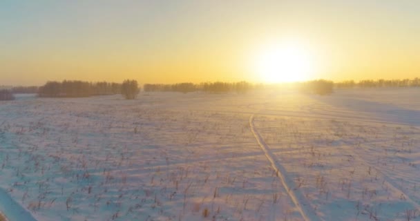 Luchtfoto drone uitzicht op koud winterlandschap met poolveld, bomen bedekt met vorst sneeuw en ochtendzon stralen over horizon. — Stockvideo