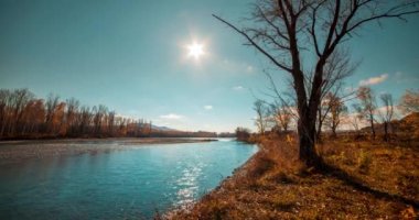 4k dağ nehri yaz ya da sonbahar günlerinde zaman atlaması. Vahşi doğa, berrak mavi su ve kuru ağaçlar. Güneş ışınları ve hafif akşam rüzgarı. Motorlu doli kaydırma hareketi