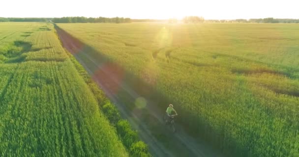 Flygfoto på ung pojke, som rider en cykel genom ett vete gräs fält på den gamla landsvägen. Solljus och strålar. — Stockvideo