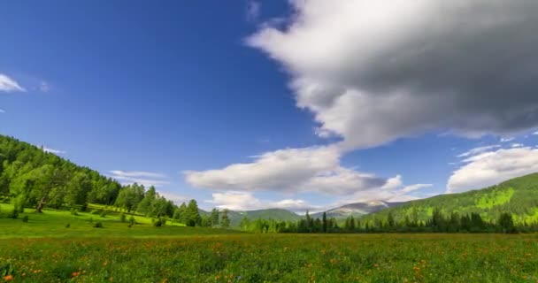 Mountain meadow time-lapse at the summer or autumn time. Wild nature and rural field. Clouds movement, green grass and sun rays — Stock Video