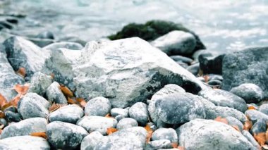 Dağ nehrinde kayalar ve sarı yapraklarla su sıçratan motorlu bebek kaydırağının görüntüsü. Bulutlu sonbahar havasında yatay sabit hareket.