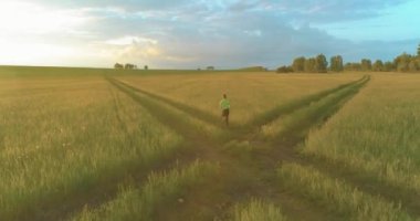 Sportif bir çocuğun havadan çekimleri buğday tarlasından geçiyor. Kırsal çayırlarda akşam sporu alıştırmaları. Mutlu bir çocukluk sağlıklı bir yaşam biçimidir. Açık havada koşma transferi. Radikal hareket, güneş
