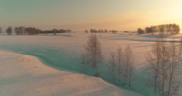 Drohne Luftaufnahme Der Kalten Winterlandschaft Arktisches Feld Bäume Mit Frost — Stockvideo