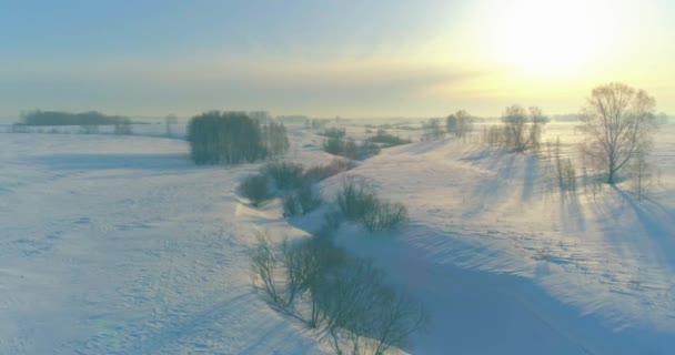 无人机俯瞰着寒冷的冬季风景北极田野 覆盖着霜雪 冰河和地平线上的太阳光的树木 极端低温天气 — 图库视频影像