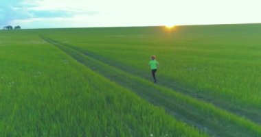Sportif bir çocuğun havadan çekimleri buğday tarlasından geçiyor. Kırsal çayırlarda akşam sporu alıştırmaları. Mutlu bir çocukluk sağlıklı bir yaşam biçimidir. Açık havada koşma transferi. Radikal hareket, güneş