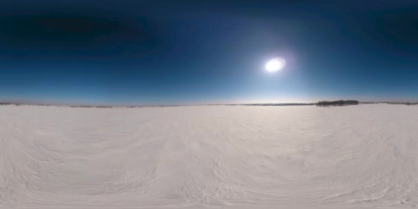 360 Беспилотник Воздушный Вид Холодного Зимнего Ландшафта Арктического Поля Деревья — стоковое видео