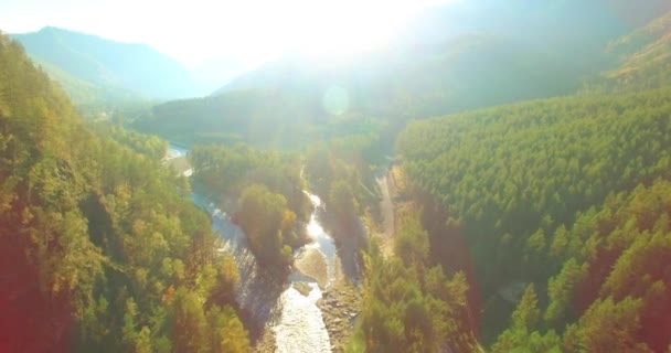 Point Vue Aérien Vol Basse Altitude Dessus Une Rivière Montagne — Video