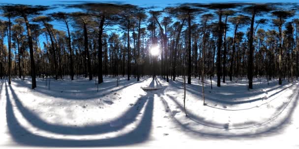 360 Όμορφο Χιονισμένο Τοπίο Στην Άγρια Σιβεριανή Φύση Κατά Διάρκεια — Αρχείο Βίντεο