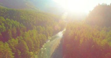 4K hava bakış açısı. Güneşli yaz sabahında, taze, hızlı dağ nehri üzerinde kayalıklarla alçak irtifa uçuşu. Yeşil çam ağaçları ve güneş ışınları. Saf soğuk su akıntısı.