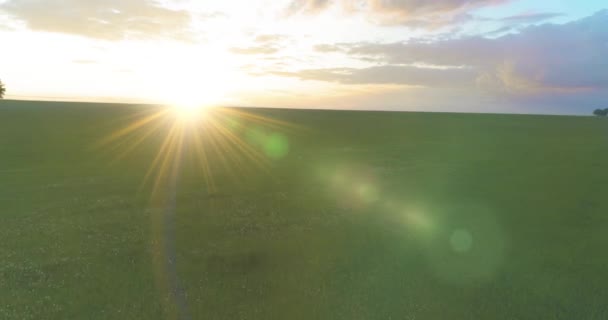 Uhd Вид Воздуха Низкий Полет Над Сельским Летним Пейзажем Бесконечным — стоковое видео