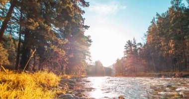 4K dağ nehri zaman dilimi yaz ya da sonbahar zamanı. Vahşi doğa, berrak su ve her zaman yeşil olan kırsal vadi. Güneş ışınları, küçük dere ve sarı otlar. Motorlu doli kaydırma hareketi