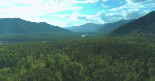 Luftaufnahme Tiefflug Über Immergrüne Kiefernlandschaft Mit Endlosem Bergwald Sonnigen Sommerabenden — Stockvideo