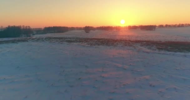 Drohnenaufnahme Der Kalten Winterlandschaft Mit Arktischem Feld Bäumen Die Mit — Stockvideo