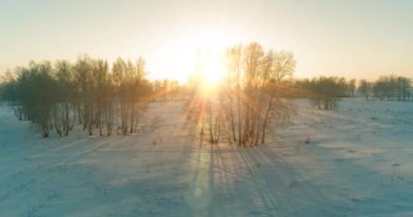 Arktik çayırlı soğuk kış manzarası, karla kaplı ağaçlar ve ufukta sabah güneşleri. Aşırı hava.