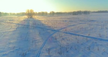 Arktik çayırlı soğuk kış manzarası, karla kaplı ağaçlar ve ufukta sabah güneşleri. Aşırı hava.