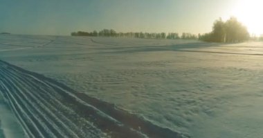Arktik çayırlı soğuk kış manzarası, karla kaplı ağaçlar ve ufukta sabah güneşleri. Aşırı hava.
