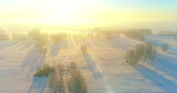 Vista Aérea Drones Del Frío Paisaje Invernal Con Campo Ártico — Vídeos de Stock