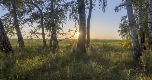 Стоковые Видео Природа России Летом ⬇ Скачать Футажи Природа.