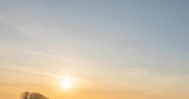 Sonbahar günbatımında 4K düz çayır zamanı. Vahşi doğa ve kırsal çimler. Güneş ışınları ve sarı çimenler. Motorlu doli kaydırma ve panorama hareketi