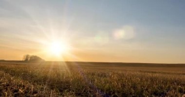 Sonbahar günbatımında 4K düz çayır zamanı. Vahşi doğa ve kırsal çimler. Güneş ışınları ve sarı çimenler. Motorlu doli kaydırma ve panorama hareketi