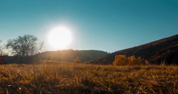 Mountain Łąka Czas Lapse Okresie Letnim Lub Jesiennym Zachodem Słońca — Wideo stockowe