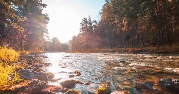 Timelapse Rivière Montagne Été Automne Nature Sauvage Eau Claire Vallée — Video