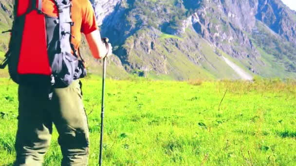 Pria Hiking Fhd Berjalan Padang Rumput Gunung Hijau Dengan Ransel — Stok Video