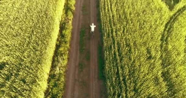 Vista Aérea Sobre Menino Que Monta Uma Bicicleta Através Campo — Vídeo de Stock