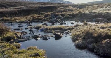 4K UHD dağ çayırı zaman dilimi yaz ya da sonbahar zamanı. Vahşi doğa ve kırsal vadi. Güneş ışınları, küçük dere ve sarı otlar. Motorlu doli kaydırma hareketi