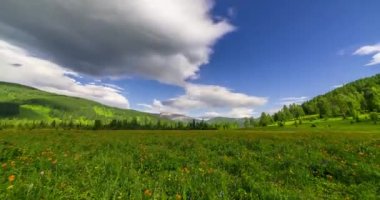 Yaz ya da sonbahar mevsiminde dağdaki çayır zaman atlaması. Vahşi doğa ve kırsal alan. Bulutların hareketi, yeşil çimenler ve güneş ışınları. Motorlu Panorama