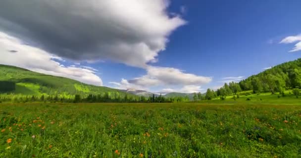 夏天或秋天的山地草甸时差 野生自然和农村地区 绿草和太阳光 摩托化全景 — 图库视频影像