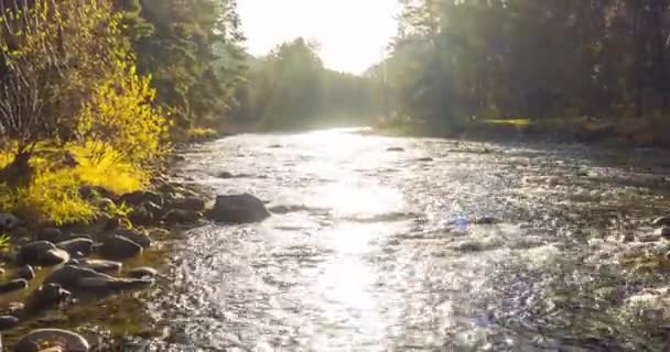 Uhd Górskiej Rzeki Timelapse Okresie Letnim Lub Jesiennym Dzika Przyroda — Wideo stockowe
