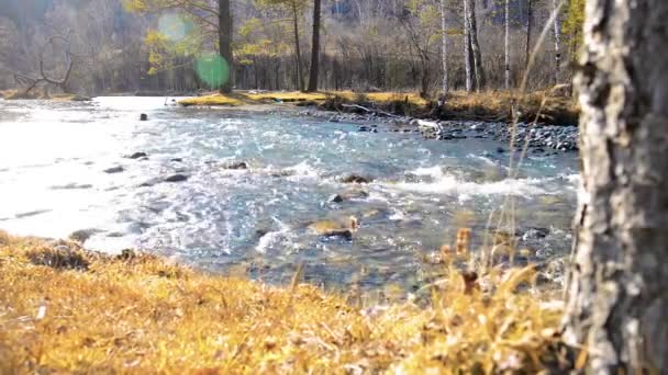 Μηχανοκίνητος Ολισθητήρας Από Παφλασμό Του Νερού Ένα Μικρό Ορεινό Ποτάμι — Αρχείο Βίντεο