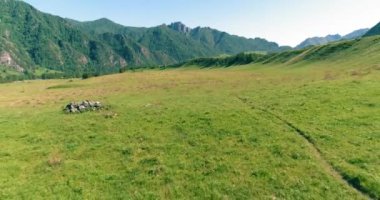 Uçan UHD 4K. Uçuşun ortasında çayırdaki vahşi at sürüsü. Bahar dağlarının üzerinden uç vahşi doğa. Yazın kırsal yeşil çimen çiftliğinde güzel hayvanlar. Özgürlük ekolojisi kavramı.