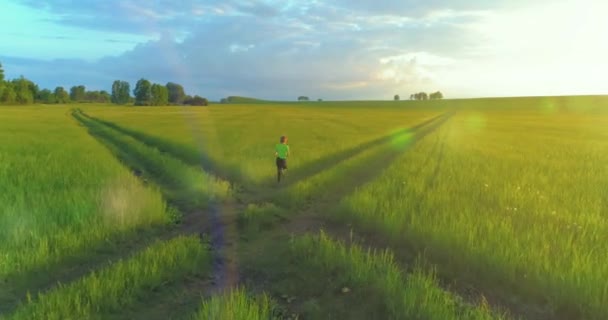 Повітряна Стрілянина Спортивної Дитини Проходить Через Пшеничне Поле Вечірні Спортивні — стокове відео