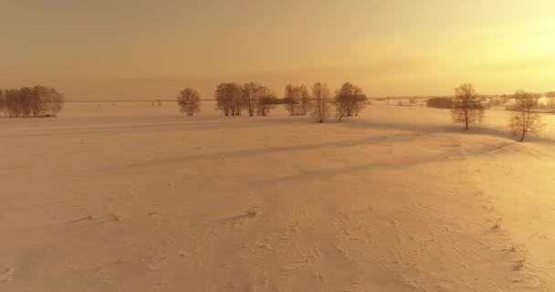 Drone Luchtfoto Van Koude Winter Landschap Poolveld Bomen Bedekt Met — Stockvideo