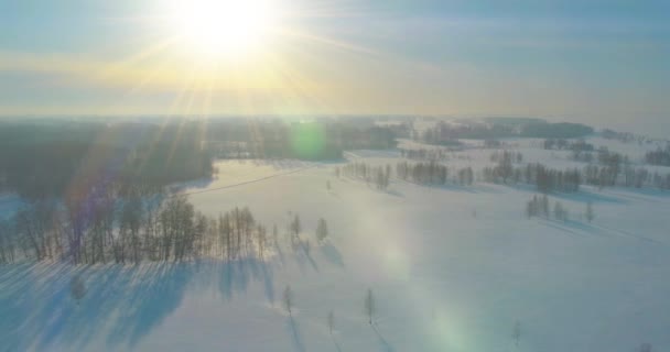Drone Luftfoto Kolde Vinter Landskab Arktiske Felt Træer Dækket Med – Stock-video