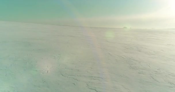 Drohne Luftaufnahme Der Kalten Winterlandschaft Arktisches Feld Bäume Mit Frost — Stockvideo