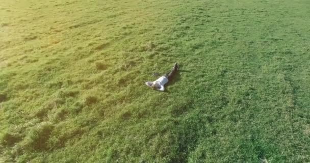 空中的观点 环绕人类的低轨道飞行躺在黄色乡间田野的绿草上 上面有记事本 随随便便就好了太阳光 拨号运动 — 图库视频影像