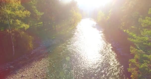 Point Vue Aérien Vol Basse Altitude Dessus Une Rivière Montagne — Video