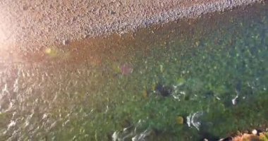 4K hava bakış açısı. Güneşli yaz sabahında, taze, hızlı dağ nehri üzerinde kayalıklarla alçak irtifa uçuşu. Yeşil çam ağaçları ve güneş ışınları. Saf soğuk su akıntısı.