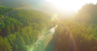 4K hava bakış açısı. Güneşli yaz sabahında, taze, hızlı dağ nehri üzerinde kayalıklarla alçak irtifa uçuşu. Yeşil çam ağaçları ve güneş ışınları. Saf soğuk su akıntısı.