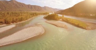 4K hava bakış açısı. Güneşli yaz sabahında, taze, hızlı dağ nehri üzerinde kayalıklarla alçak irtifa uçuşu. Yeşil çam ağaçları ve güneş ışınları. Saf soğuk su akıntısı.