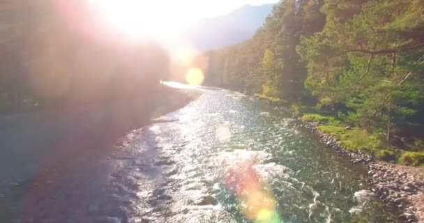 Point Vue Aérien Vol Basse Altitude Dessus Une Rivière Montagne — Video