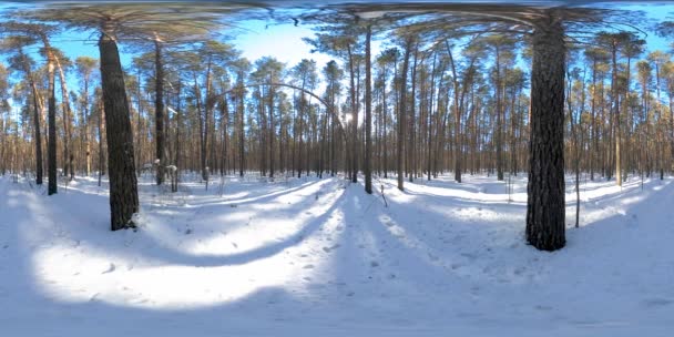 360 Красивий Сніговий Покрив Пейзаж Дикій Сибірській Природі Під Час — стокове відео