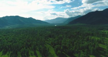 4K hava görüntüsü. Güneşli bir yaz akşamında sonsuz dağ ormanları olan sonsuz yeşil çam ağacı manzarasının üzerinde alçak uçuş. Ufuktaki güneş ışınları. Hızlı yatay hareket. Vahşi doğa.