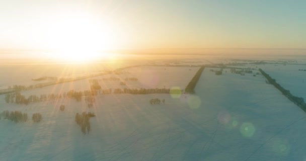 Luchtfoto Drone Uitzicht Koude Winter Landschap Met Poolveld Bomen Bedekt — Stockvideo