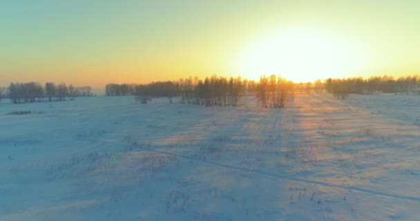 北極のフィールドと寒い冬の風景の空中ドローンビュー 木々が地平線上に霜雪と朝の太陽光線で覆われています 異常気象 — ストック動画